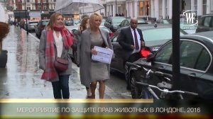 Стиль Знаменитостей: Памела Андерсон