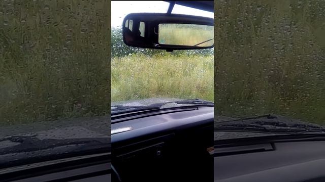 Как удалить запах сырости из салона автомобиля. смотреть онлайн