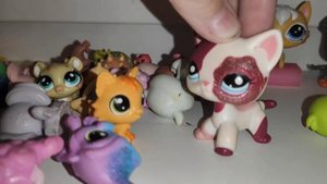 LPS: Мама, купи мне пета!
