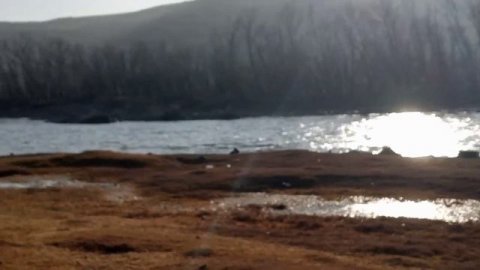 В поисках Руставского леса. #Рустави #Грузия