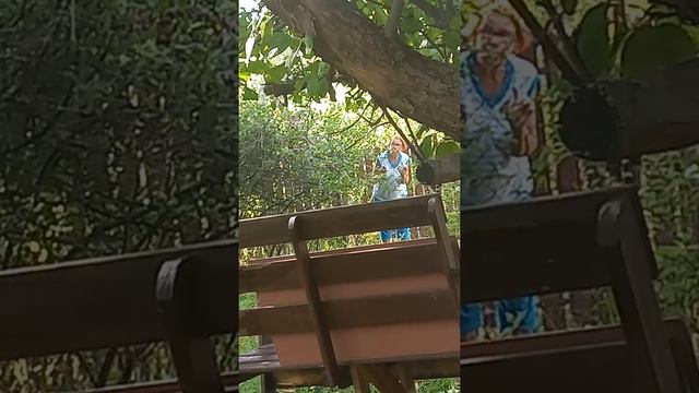 вуайеристы соседи. соседка подсматривает смотреть онлайн