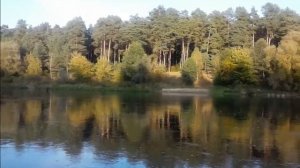 Бацька Нёман,и я тут нарадзіўся...(каля Гродна)