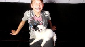 Собачий Переводчик (Dog Translator) - проверяем на собаке