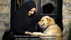 Почему мусульмане не любят собак и нельзя их трогать