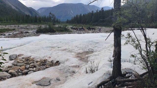 #03. УДА 2021. Пешка-Кони смотреть онлайн