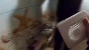 Недорогой ремонт в ваной комнате своими руками