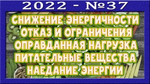 Количество энергии зависит от типа питания? Постепенная смена питания. Получение веществ из фруктов.