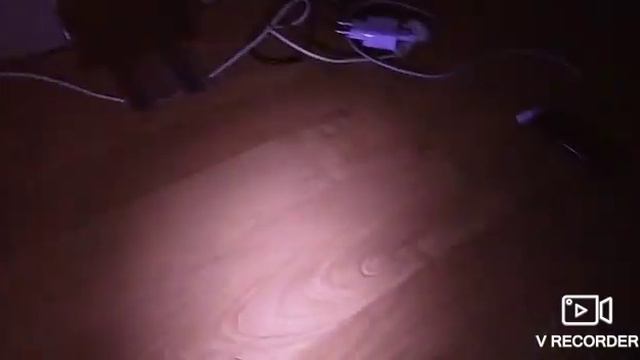 они здесь (скетч) + (посмотри до конца! ;))) смотреть онлайн