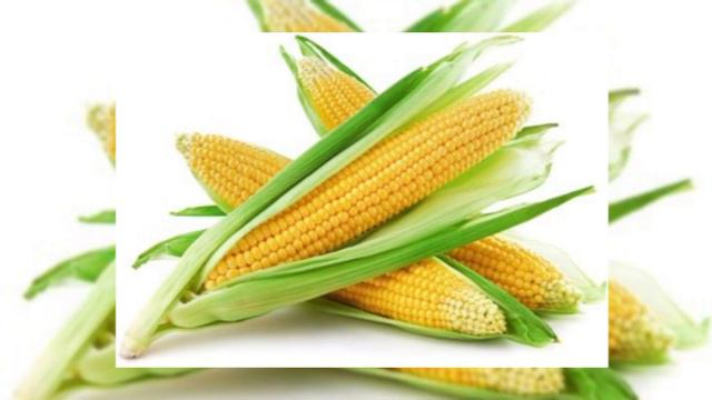 карась и о его ловле смотреть онлайн