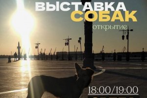 Открытие выставки "Собаки Астрахани" в Арт-пространстве Подворье