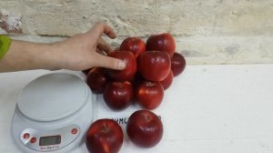 Яблоко CRIMSON CRISP® / Сорт яблока Кримсон Крисп