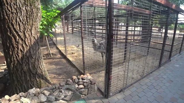 Крутое бесплатное место рядом с М4 – парк Лога (Старая Станица) смотреть онлайн