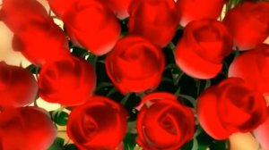 ФУТАЖ БУКЕТ РОЗ