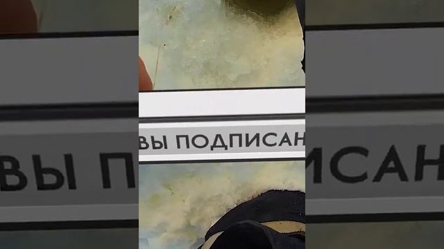 Вот она красотка, которая попалась на день защитника отечества.