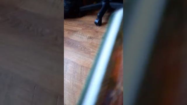 Дневник Стива 3 книга обзор смотреть онлайн