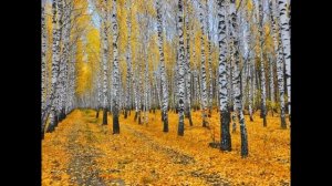 Осень кружевница