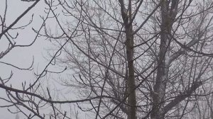 15 Сериал "Оккупация", часть 15-я. Максимов Георгий, священник. О расколе в УПЦ МП.