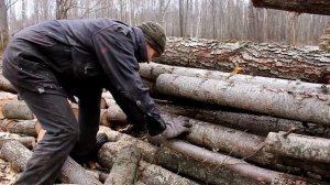 Китайский STIHL- 361. Эксперимент-Сколько Напилит ДРОВ на полном баке?