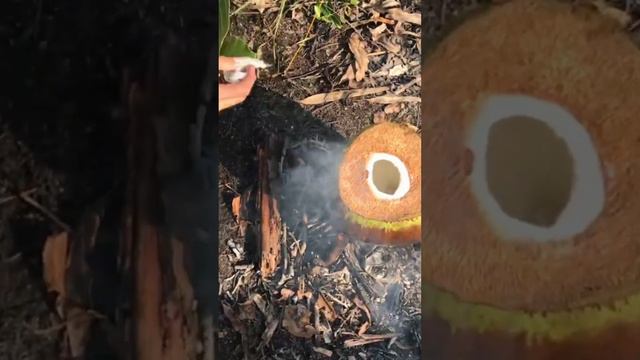 Primitive life-Jungle men boil shrimps with coconut