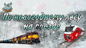Зимняя сказка. По новогоднему лесу на поезде