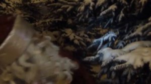 Михаил Новицкий - Если в доме пахнет елкой