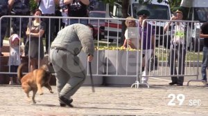 Проект 60sec №908. День пограничника в Москве