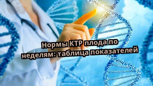 Нормы КТР плода по неделям: таблица показателей смотреть онлайн