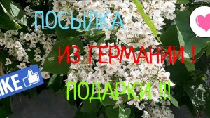 ПОСЫЛКА из ГЕРМАНИИ от Любови Клемм !!! ПОДАРКИ !!!
