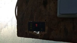 Моя первая отапливаемая теплица Что уже растет в тепличке