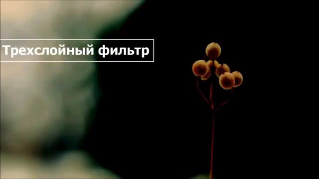 Трехслойный фильтр ◊ Ринат Абу Мухаммад смотреть онлайн