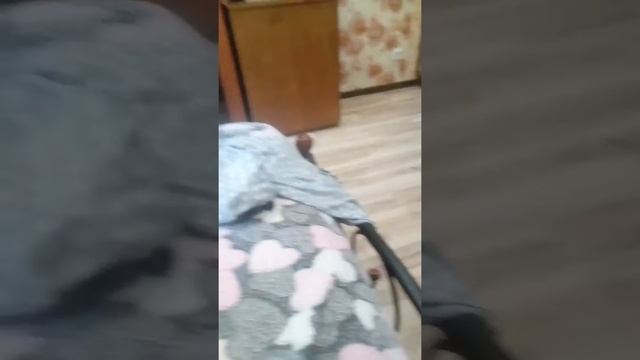 Гномик исполняющий желания он существует