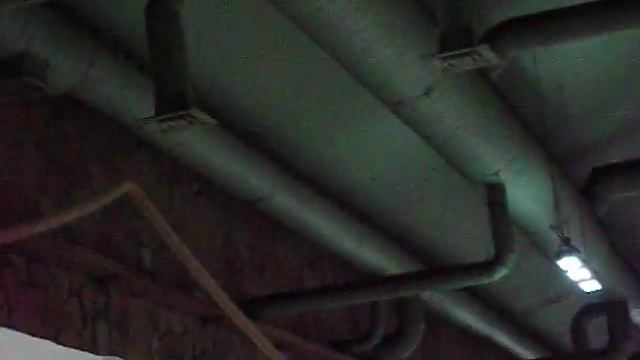 Обезьянки - Ленинградский зоопарк смотреть онлайн