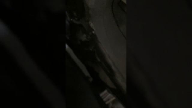 Tiguan (загорается масленка) одна из причин смотреть онлайн