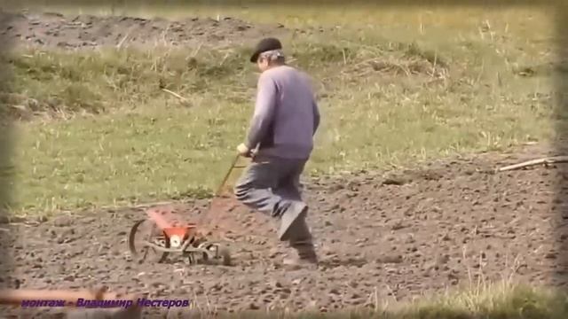 Старый конь борозды не портит смотреть онлайн