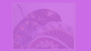 ФАНТАСТИЧЕСКИЙ ФРИФОРМ КРЮЧКОМ И КАК СВЯЗАТЬ