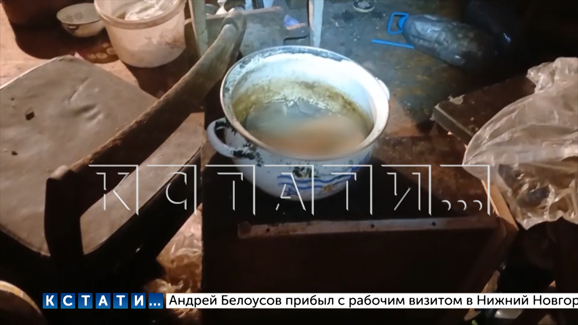 Зоозащитники, освобождая партию собак из живодёрни,выяснили - зачем хозяева ловили животных на улице