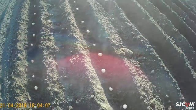 ?Посадка ?картошки мотоблоком "хопёр"/Planting potatoes with walking tractor hopper