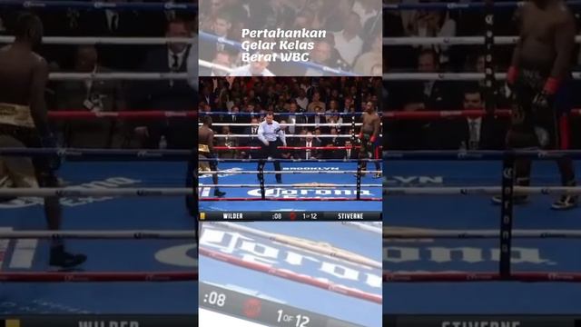 Momen Lucu dan Beringas Duel Wilder Vs Stiverne