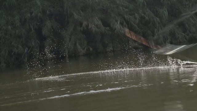 Viata e o aventura. Nu sta pe margine! смотреть онлайн