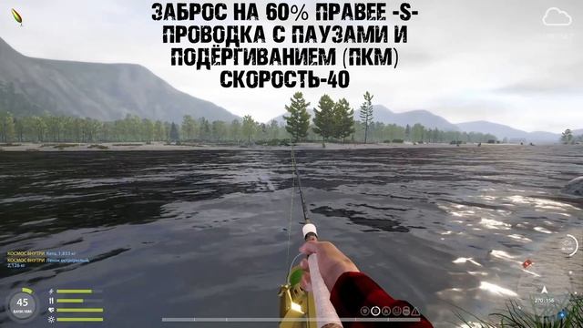 Новая точка | Кижуч + Ленок | ФАРМ | р. Яма | Русская Рыбалка 4