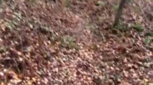 Любительский фильм про партизана и ветерана 4 (2)