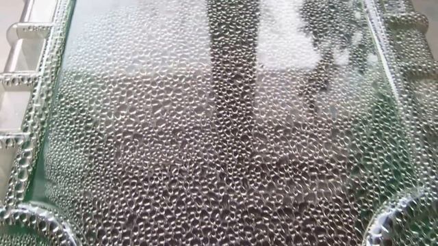 ОТВЕТЫ ДЛЯ НОВИЧКОВ - САДОВОДОВ. смотреть онлайн