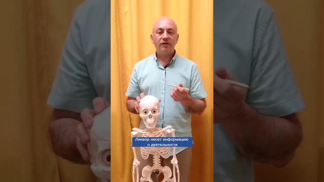 Головные боли. Откуда они и как их преодолеть?