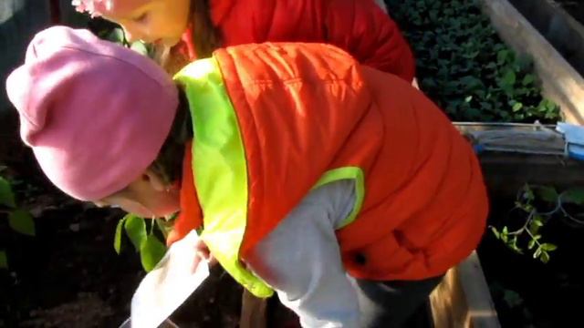 Квест для детей! СУПЕР РАЗВЛЕЧЕНИЕ  и горы СЛАДОСТЕЙ, Kinder Surprise, Chupa Chups и многое другое