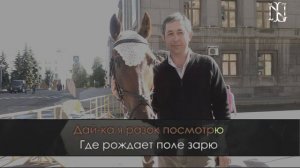 Конь КАРАОКЕ
