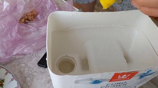 Как посадить ананас дома / Ананасовая плантация в Сибири. Это возможно!?? смотреть онлайн