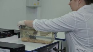 Функции памяти