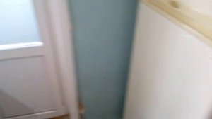 Как избавиться от короедов за 3 минуты!