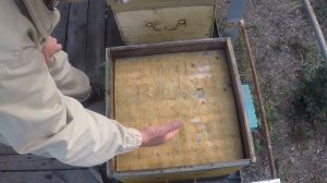 Утепление и вентиляция ульев на зиму. Как пчелы устраивают вентиляцию в улье 1-я часть.