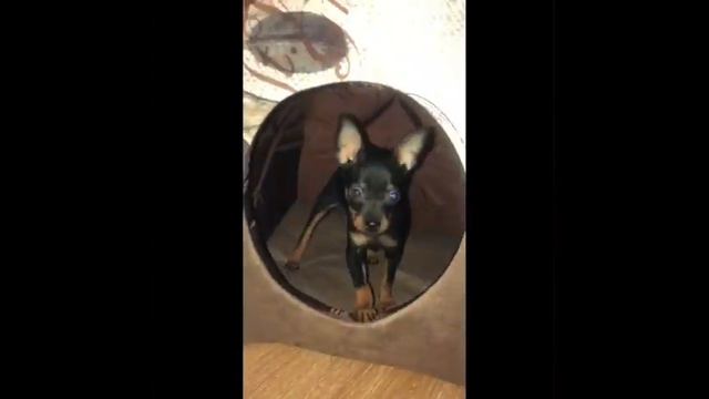 Приходите в мой дом, мои двери открыты😂 смотреть онлайн